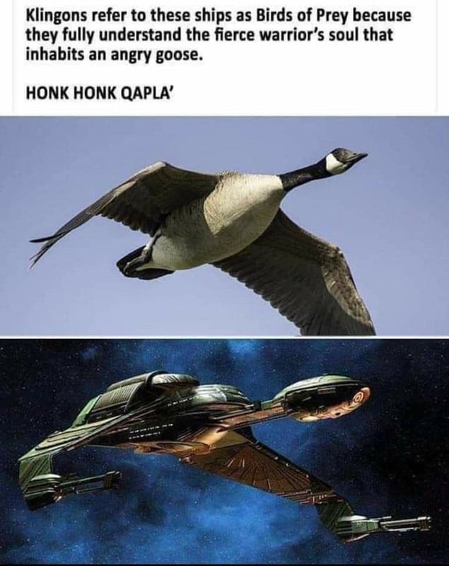 klingon-goose-of-prey.jpg
