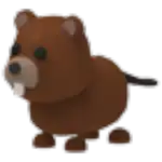 Beaver