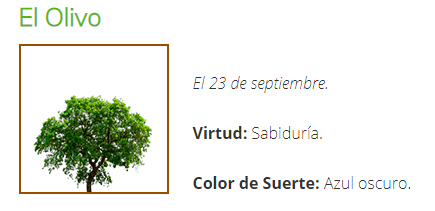 [Imagen: 17-El-Olivo.png]
