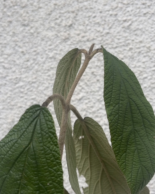 5C6EE59C-BD46-4425-B557-F98C84D1BCB0