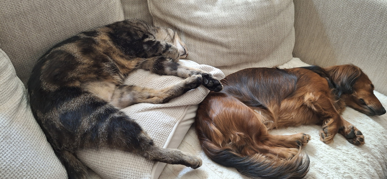 [Image: 1000021354.jpg]