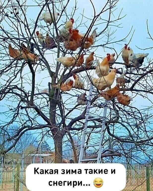 jpg-jpg-jpg-jpg