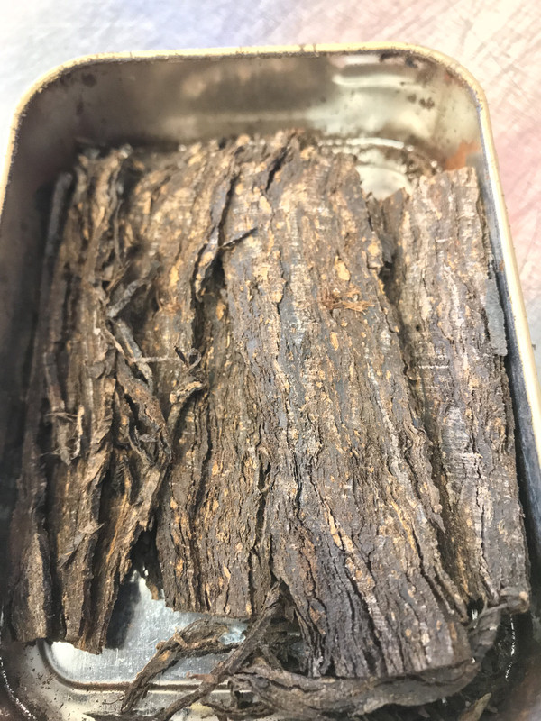 E6B71F12-BF5E-47D2-89FF-886C40D7E8F5