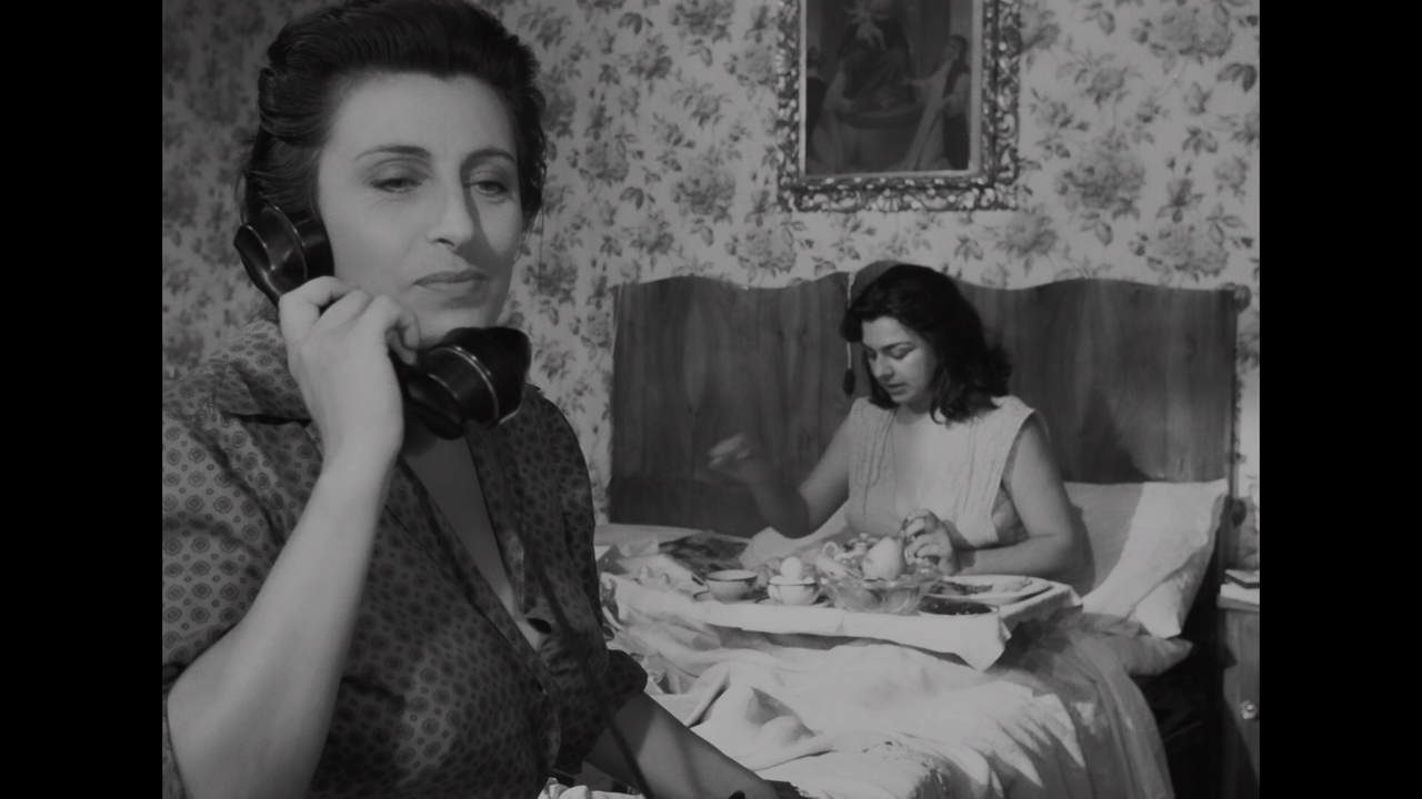 vlcsnap-2024-07-14-16h26m48s622