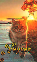 veycer.png