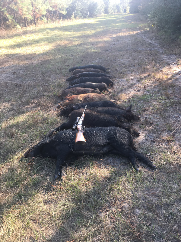 DE9E5FE4-E83E-4540-845E-9C8AEE93AF8C