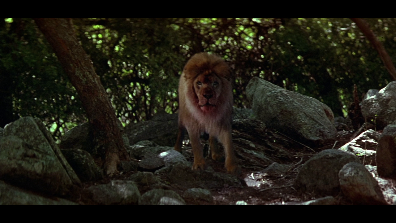 vlcsnap-2022-07-22-10h40m37s832