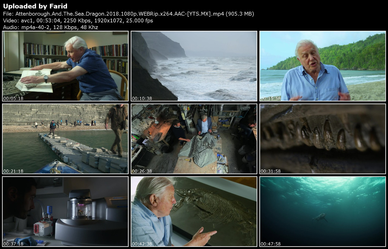 Attenborough-And-The-Sea-Dragon-2018-1080p-WEBRip-YTS-MX.jpg