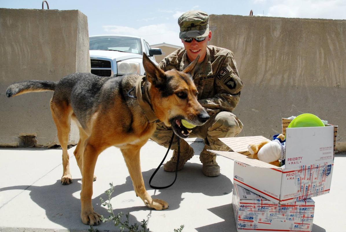 11779819_843155162448122_1072941340401333643_o