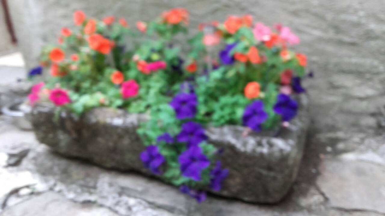 F9A8DE63-DC14-467B-A176-FD338863056A