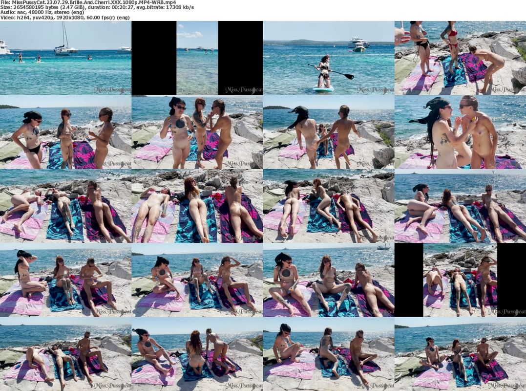 30072023224941screenshot