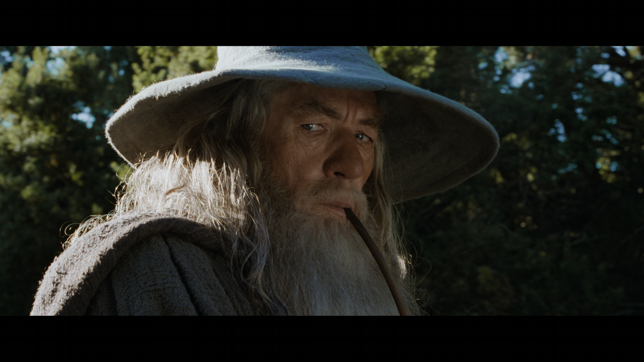 The Lord of the Rings- The Fellowship of the Ring (EXT.) PT. 1.mkv_snapshot_00.13.42_[2020.12.05_21.