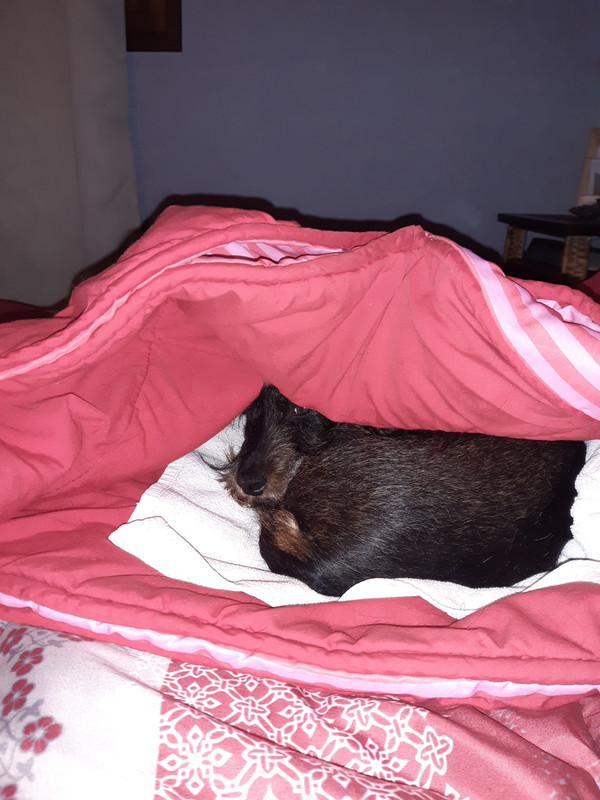 [Image: 20230119-073022.jpg]