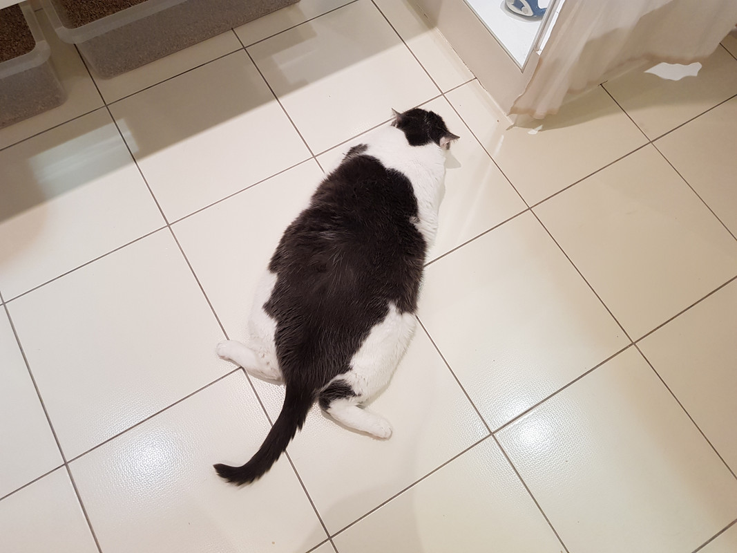 20190310-105951.jpg