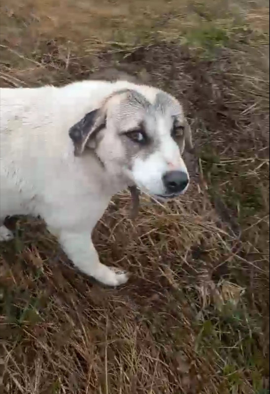 A2CD8B03-0FCA-4B46-9AD4-AFE3E899C502