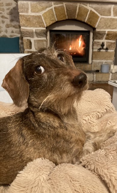 [Image: DB290-BA2-CF94-42-F3-9-B29-28-C1778-B5149.jpg]