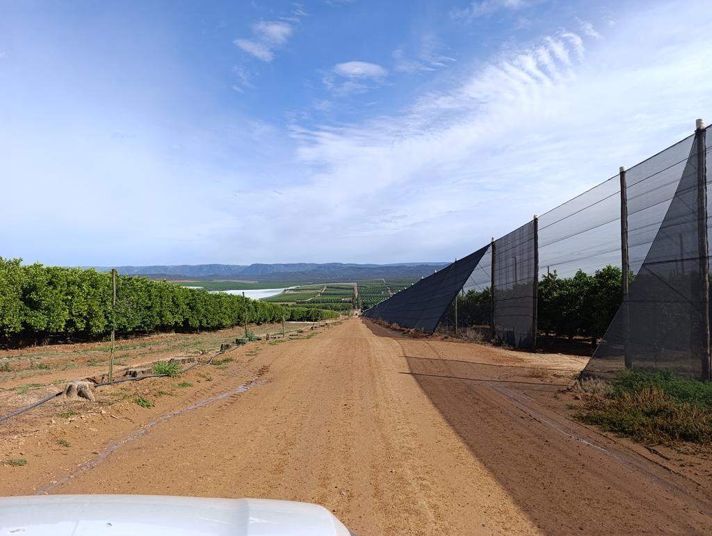 Такая близкая Африка. (ЮАР. 22 дня и 4200 км. Ноябрь-Декабрь)