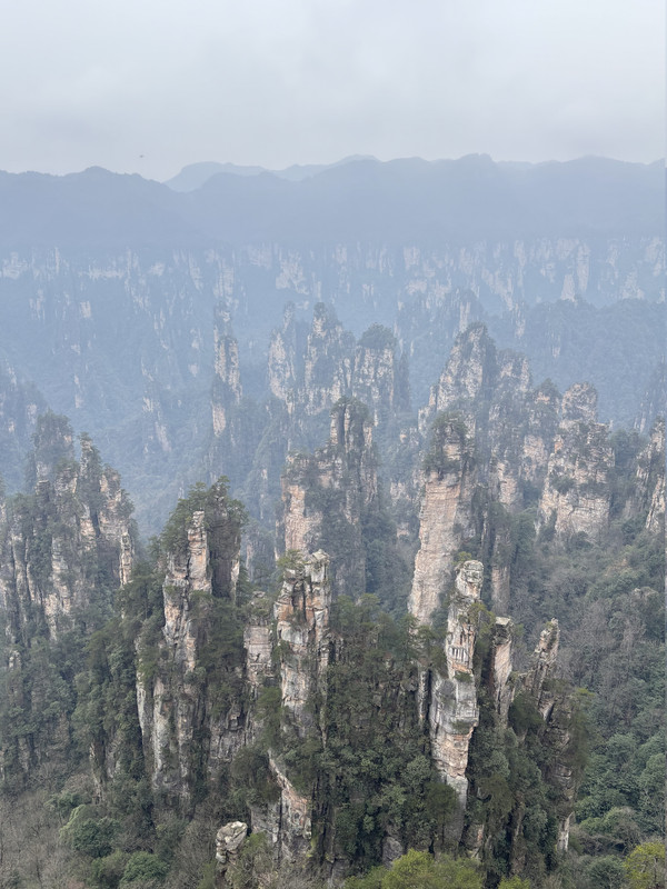 Día 7: PN Zhangjiajie -> Yuanjiajie, Yangjiajie y Tianzi - Disfrutando de China por libre en 18 días (Marzo 2026) (5)