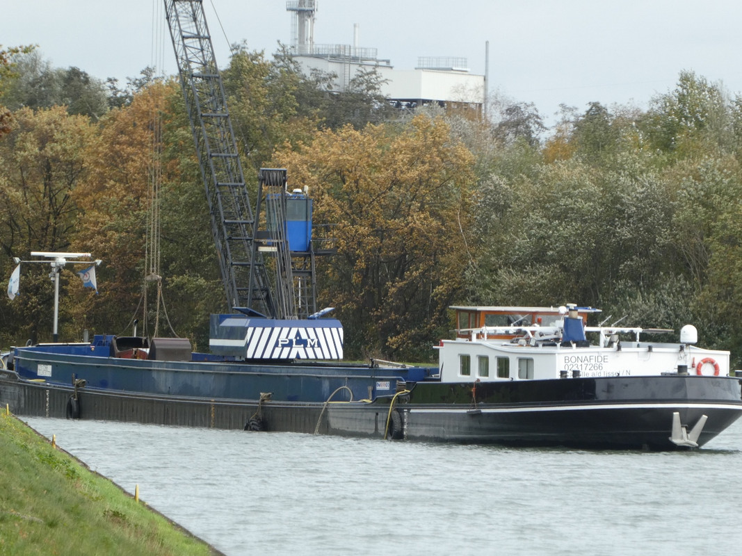 2020.10.29e Bonafide (1280x960)