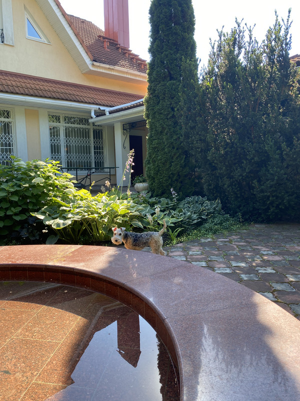 IMG 3101 — Postimages