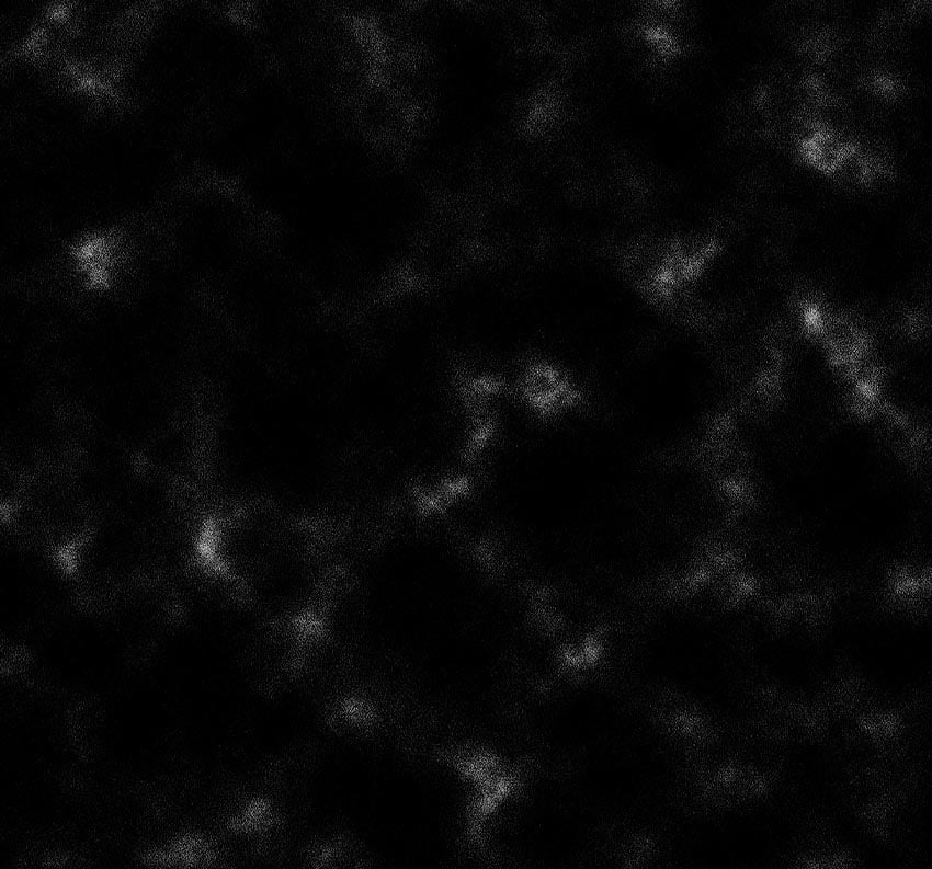 0003s-0002-4