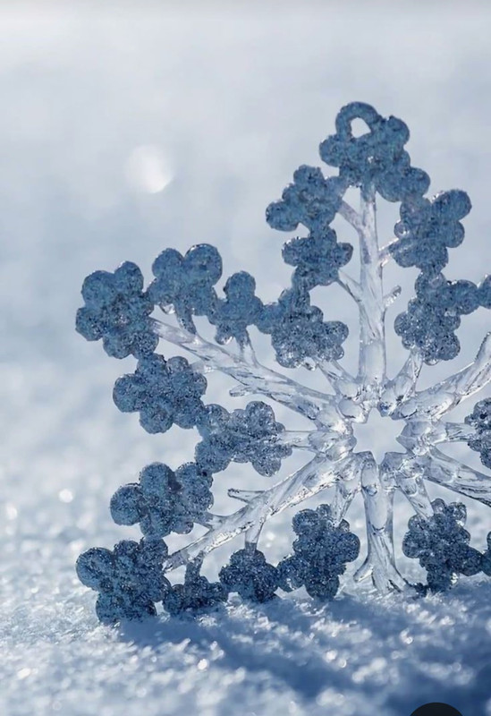 Screenshot_20231222_132021_Pinterest