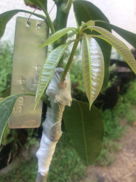 EE22EC69-F0E4-4365-A39D-3F5B459F0487