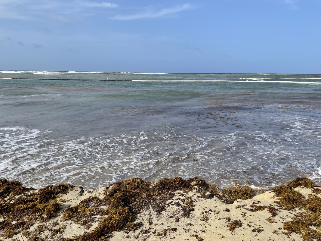 38512A3D-5235-45EE-A61D-F47CF695BC4B