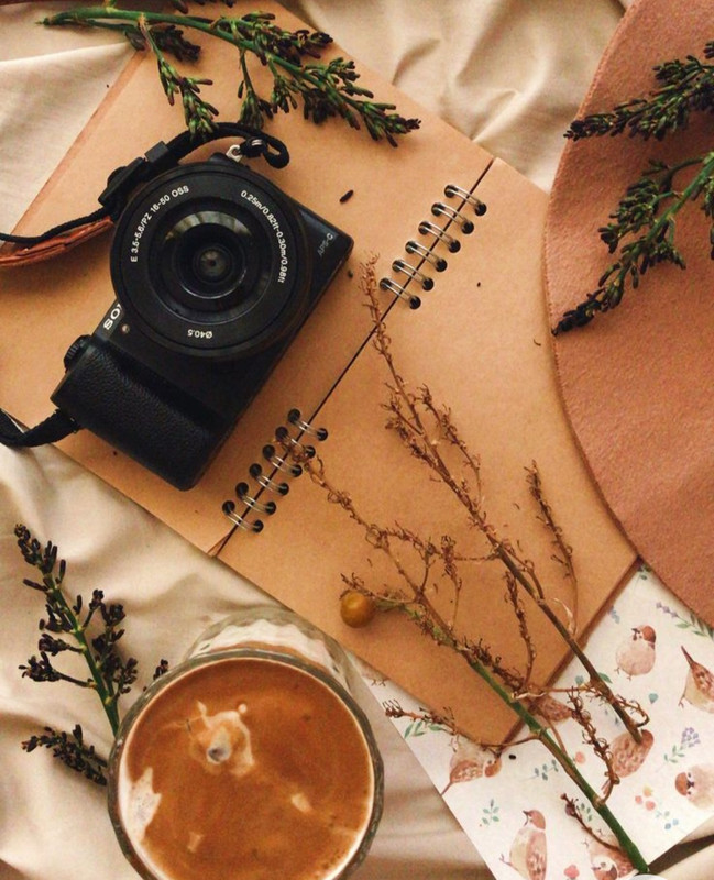 Screenshot_20230124_001553_Chrome