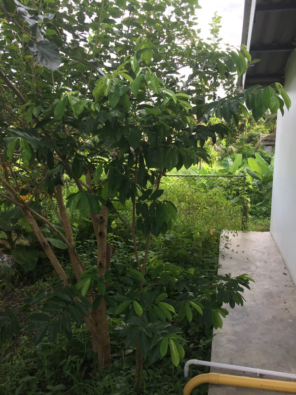 0AC04380-DF4B-4528-AB89-E6B8427A8E11