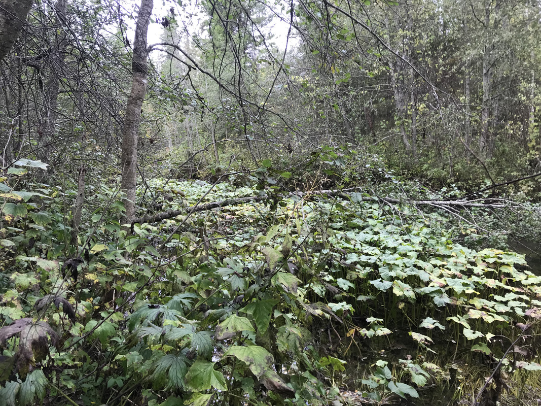 8DC4BBB8-E10D-42D8-97A9-9E94238FA246