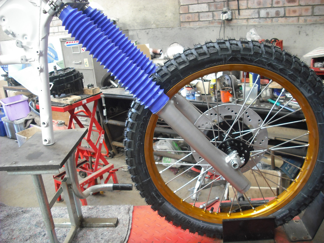 DSCF6484