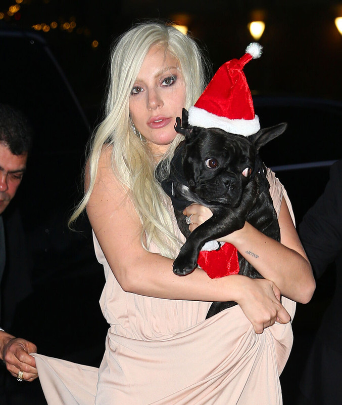 12-11-15-Returning-at-her-apartment-in-N