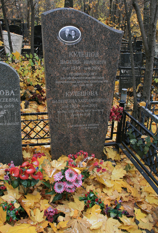 kuleshov-vi