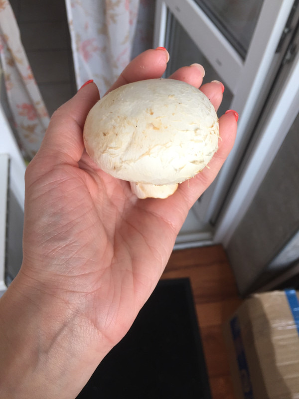 2F3BFB30-588D-4D81-AD4B-7521C6E68B91