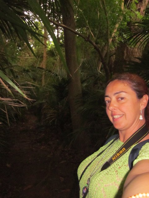 JARDIN BOTANICO JOSE DO CANTO-9-7-2014 - Portugal y sus pueblos-1996/2024 (42)