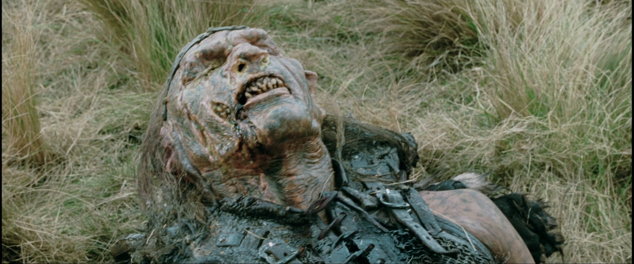 vlcsnap-2024-01-15-17h36m04s565