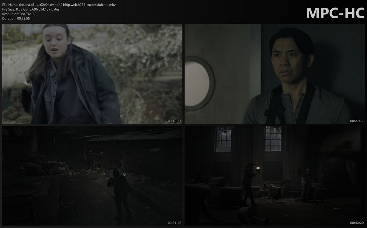 the-last-of-us-s02e04-dv-hdr-2160p-web-h265-successfulcrab-mkv-thumbs.png
