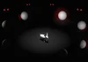 Moon Rabbit game icon