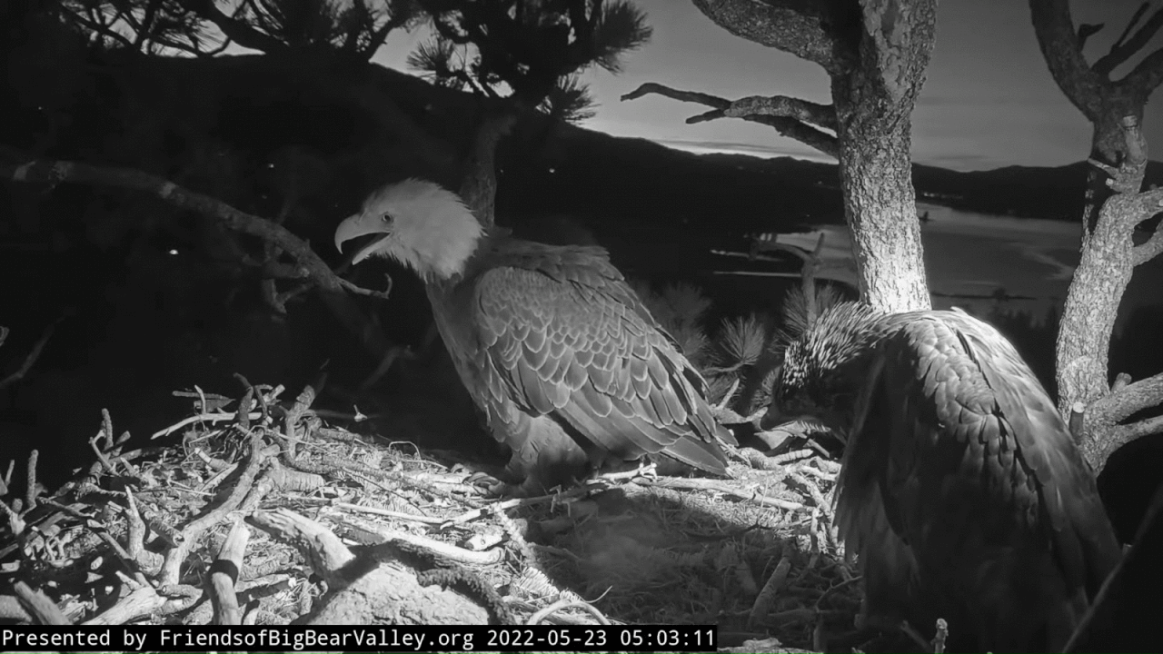 Webp.net-gifmaker (6)