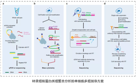 单细胞多组学研究-5.png