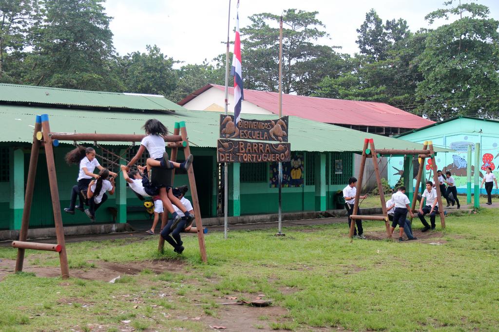 DIA 2: LLEGADA A TORTUGUERO - DE TORTUGAS Y PEREZOSOS. COSTA RICA 2019 (30)