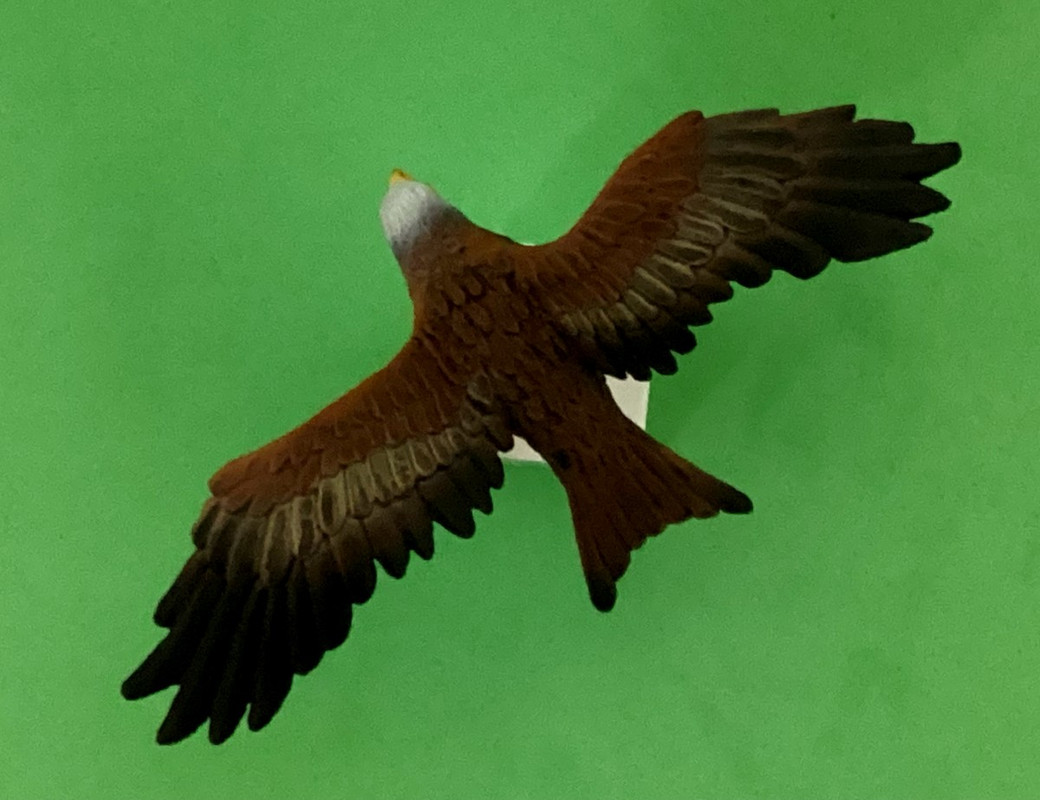 bullyland - Red kite from Bullyland - updated with new photos Bully-redkite-back