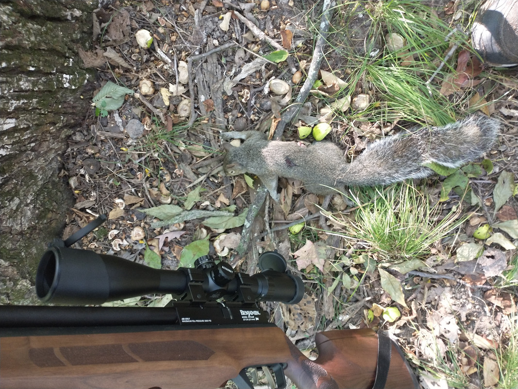 IMG_20210918_084157917