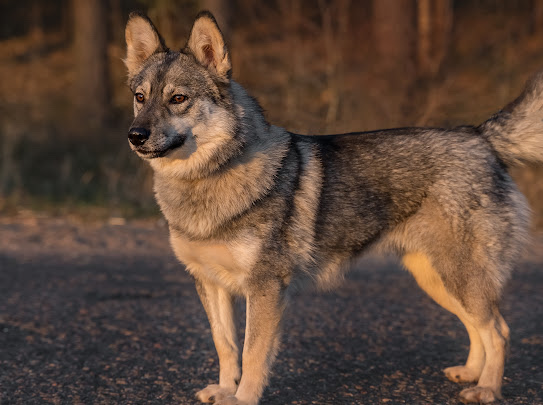 изображение_viber_2022-01-10_11-24-50-642