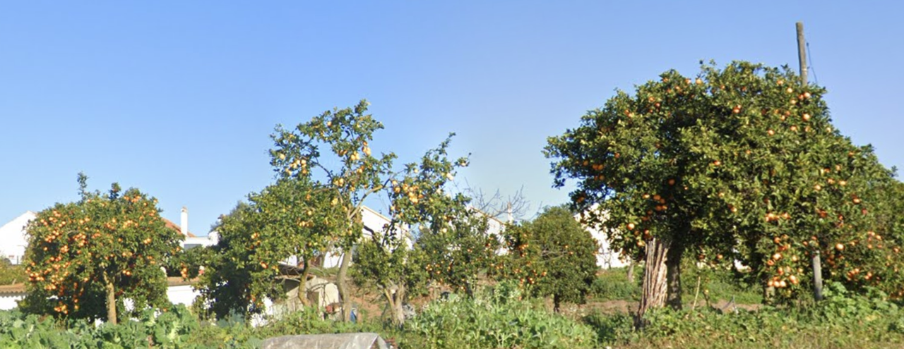 Screenshot-2025-03-09-101107.png