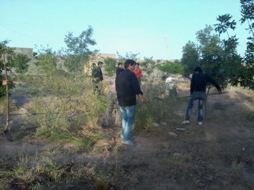 هرس درختان بوستا روستای خانیک توسط جوانان