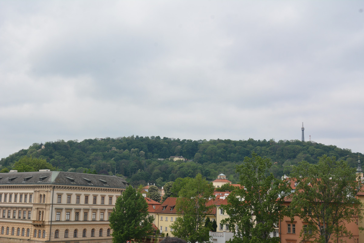 11.12 - DSC_9695 (Ater)