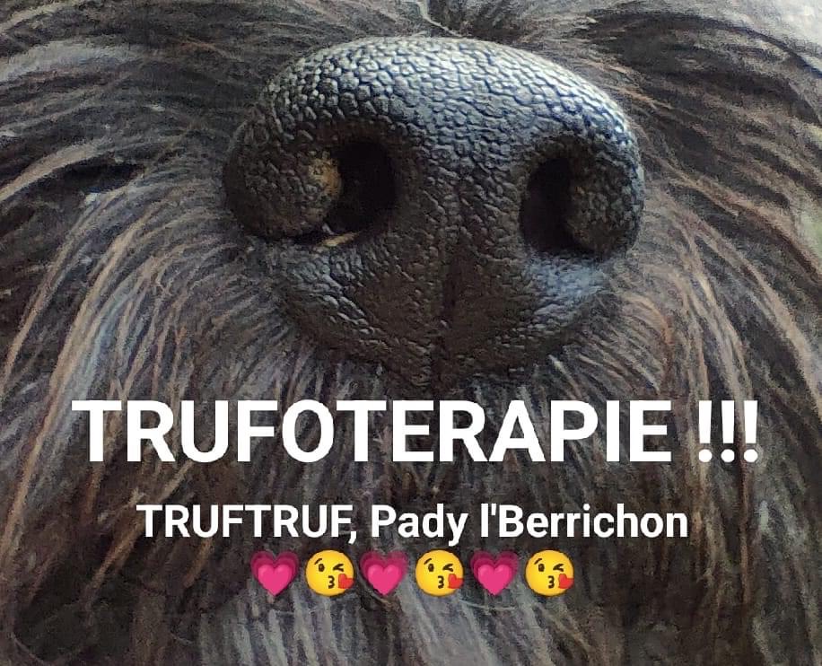 [Image: IMG-7741.jpg]