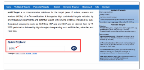 首个针对m6A WER靶基因的综合数据库M6A2Target-3.png